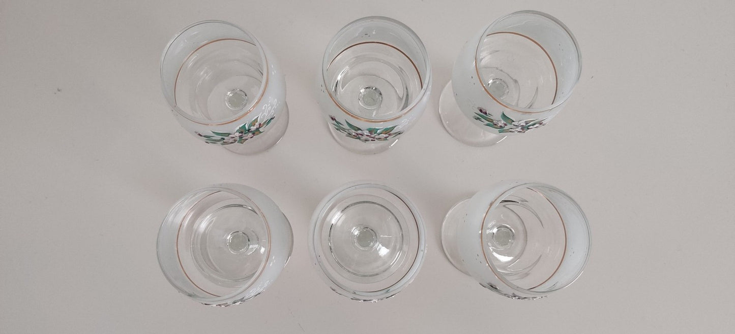 6 pcs Flower Pattern Wine Glass (Czechoslovakia)