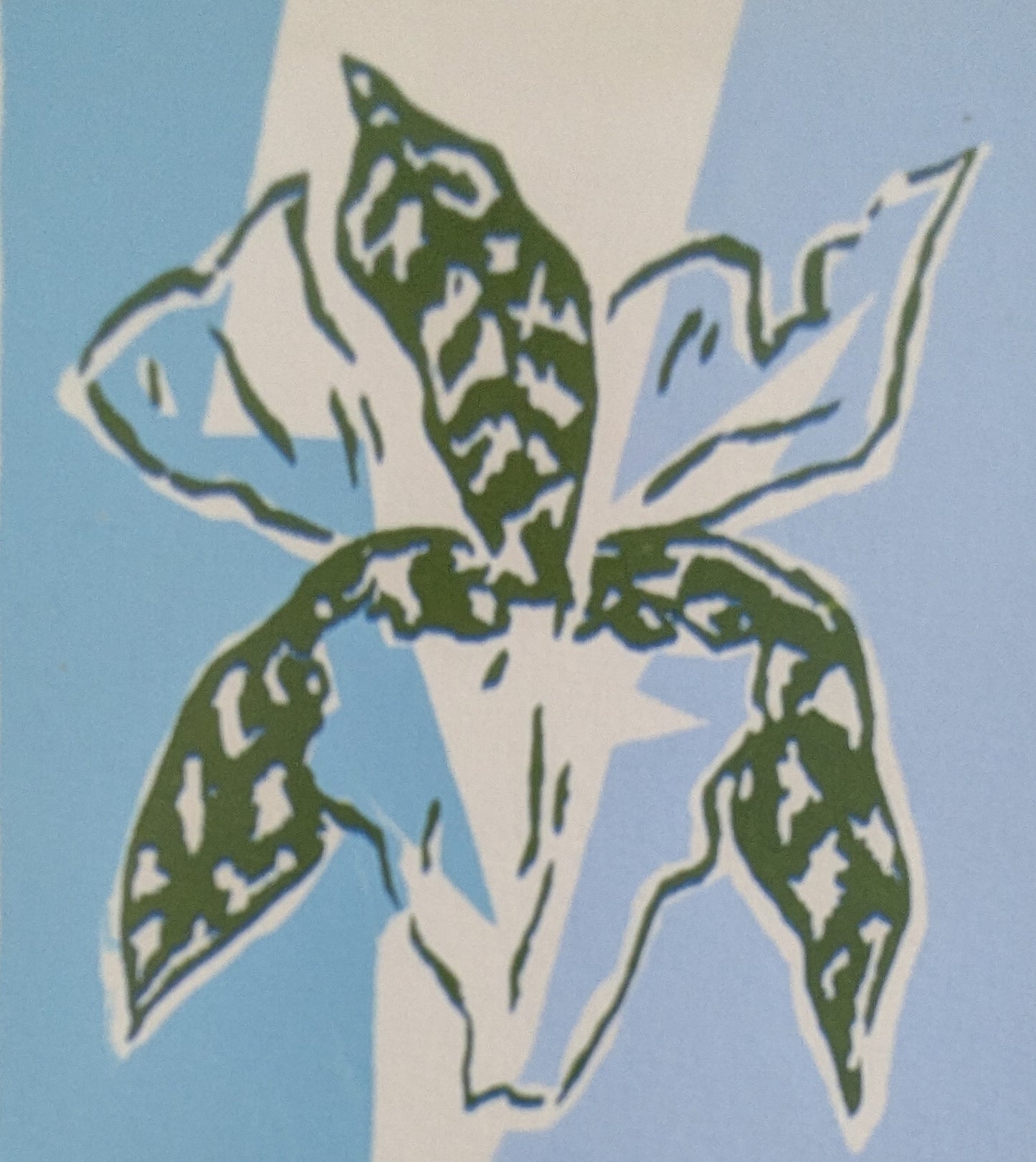 Ipi Kärki - Orkidea (Signeerattu Grafiikka 1983)