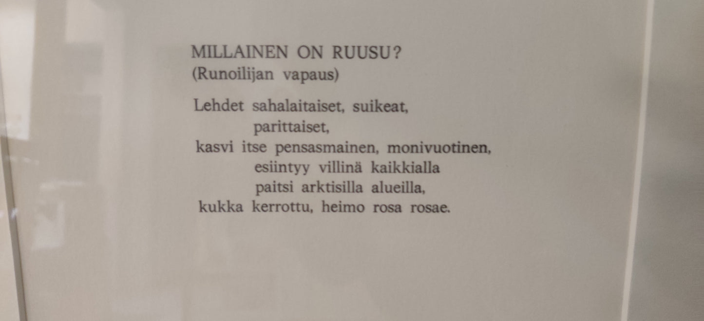 Raimo Kanerva - Millainen On Ruusu? (Signeerattu Serigrafia, 1983)