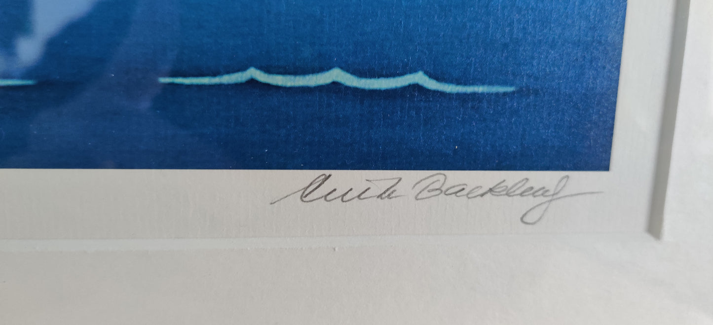 Anita Backlund - Johan Tärppäs (Signeerattu Grafiikka)