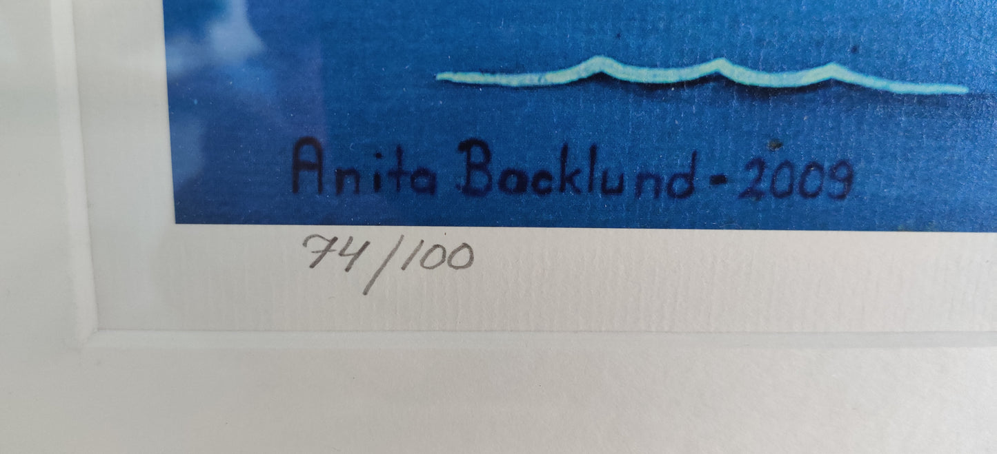 Anita Backlund - Johan Tärppäs (Signeerattu Grafiikka)