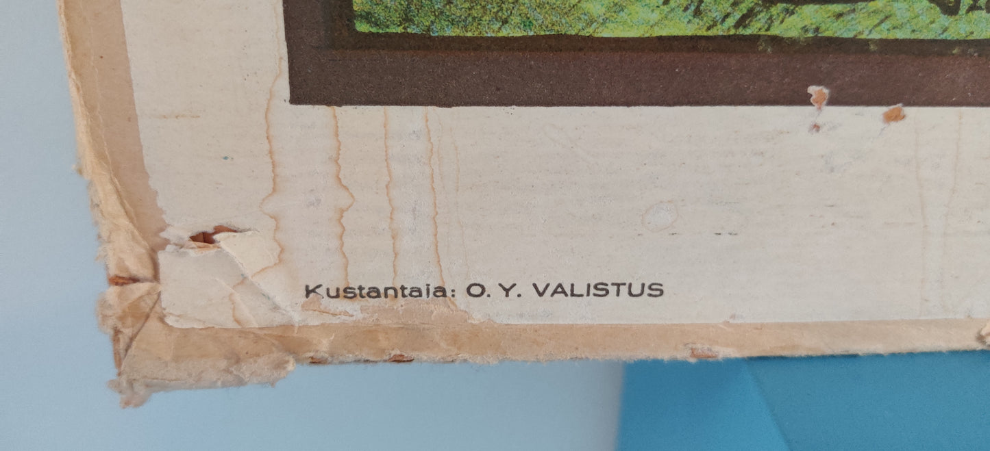 Opetustaulu - Valistuksen Historiallisia Kuvia, Turun Linna / Åbo Slott