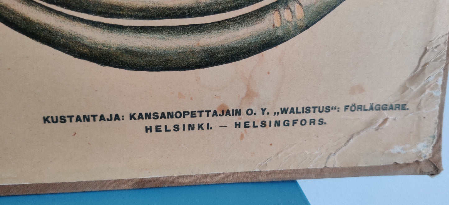 Opetustaulu - Valistuksen Historiallinen Kuvasto Nro. 4 - Rautakausi