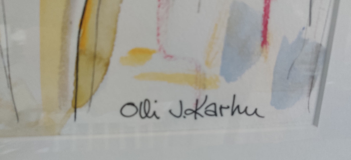 Olli J. Karhu - Signeerattu Sekatekniikka