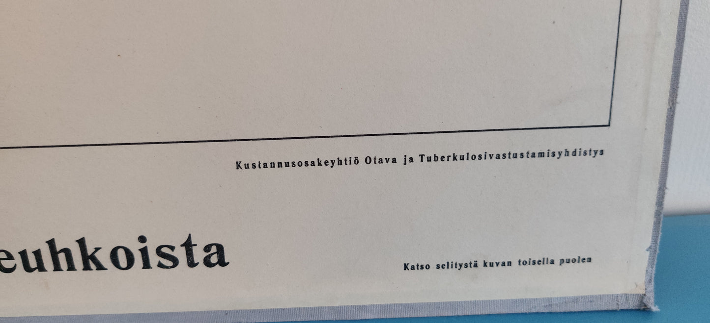 Opetustaulu - Kaaviomainen Kuva Tuberkuloottiset Keuhkot (Tuberkulositauluja IV)