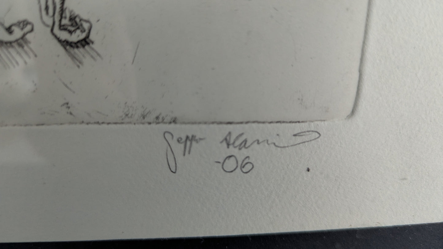 Signeerattu ja Numeroitu Grafiikka (2006, Seppo Alaniva ?)