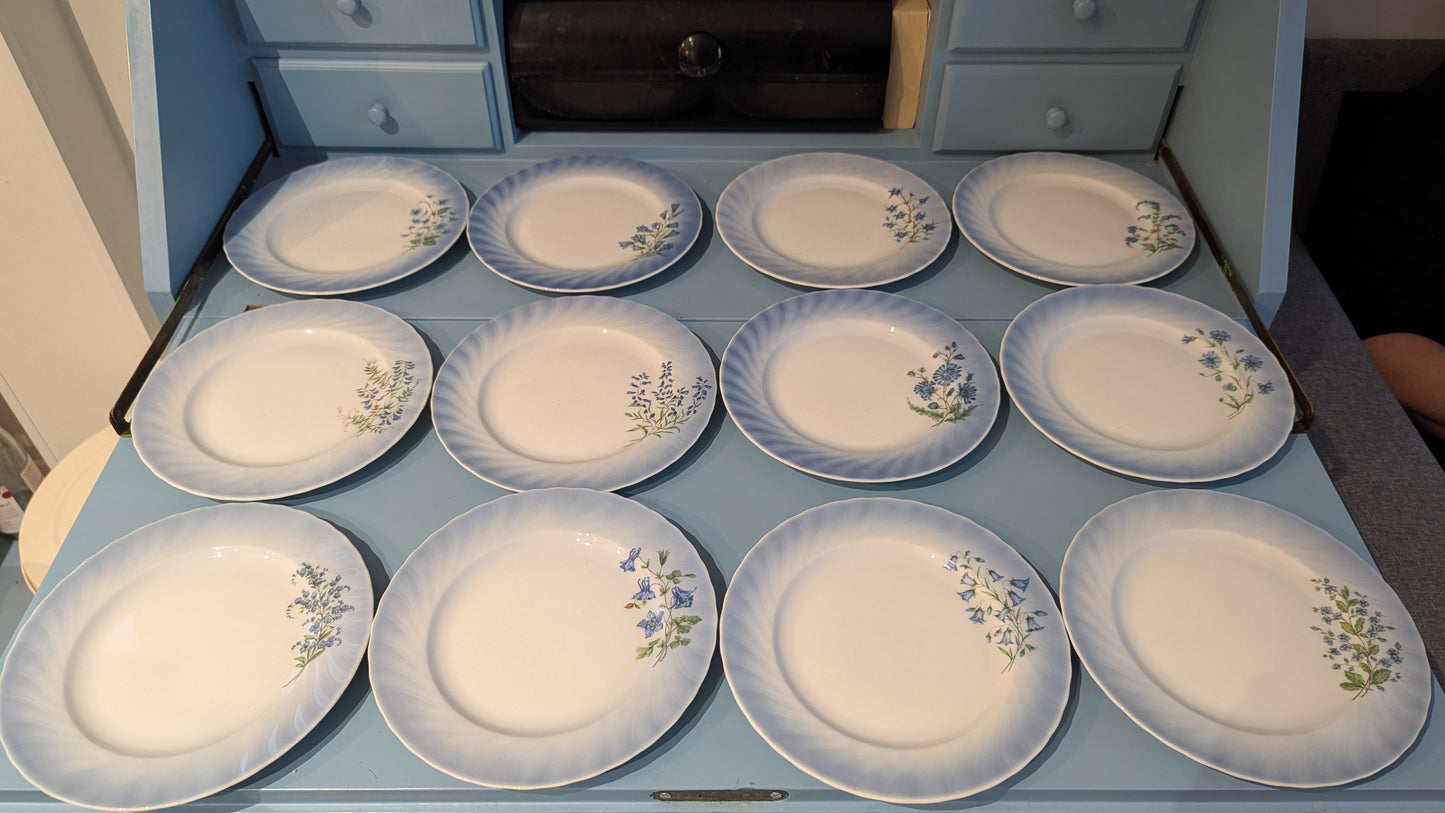 Christineholm Kesäkukat - Kissankello Leipälautanen / Leivoslautanen (12kpl)