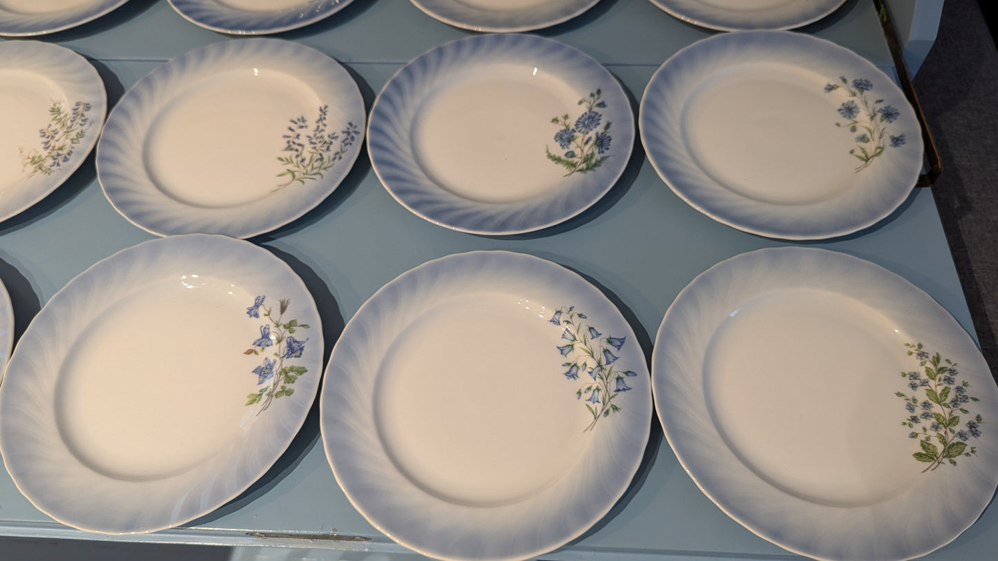 Christineholm Kesäkukat - Kissankello Leipälautanen / Leivoslautanen (12kpl)