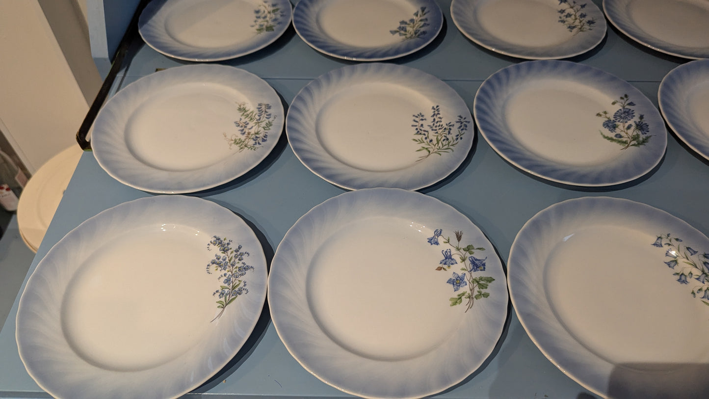 Christineholm Kesäkukat - Kissankello Leipälautanen / Leivoslautanen (12kpl)