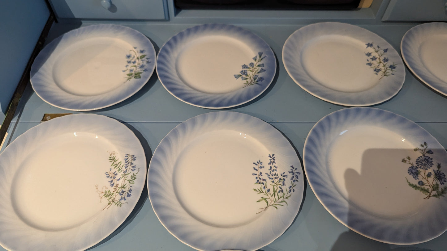 Christineholm Kesäkukat - Kissankello Leipälautanen / Leivoslautanen (12kpl)