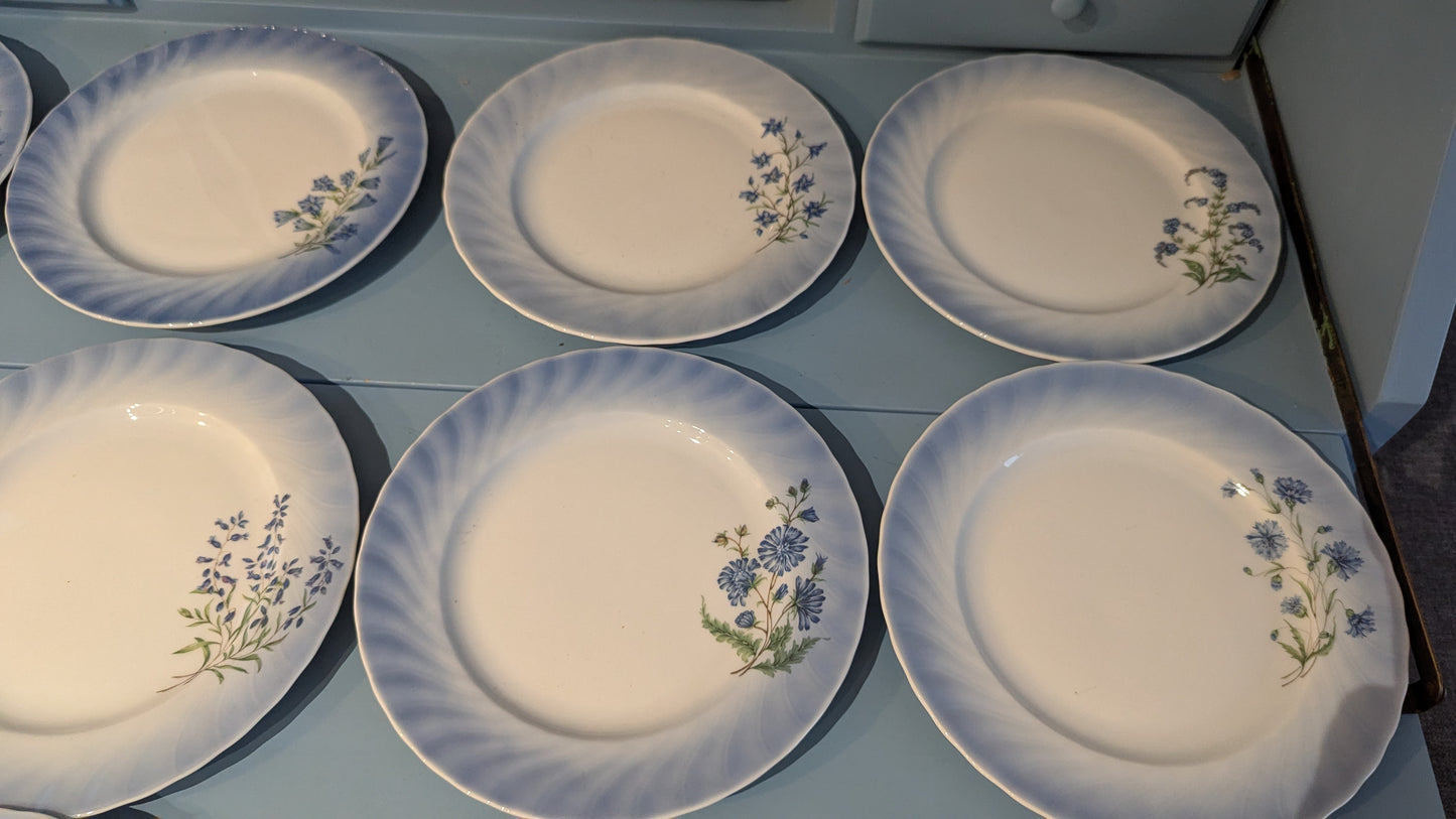 Christineholm Kesäkukat - Kissankello Leipälautanen / Leivoslautanen (12kpl)