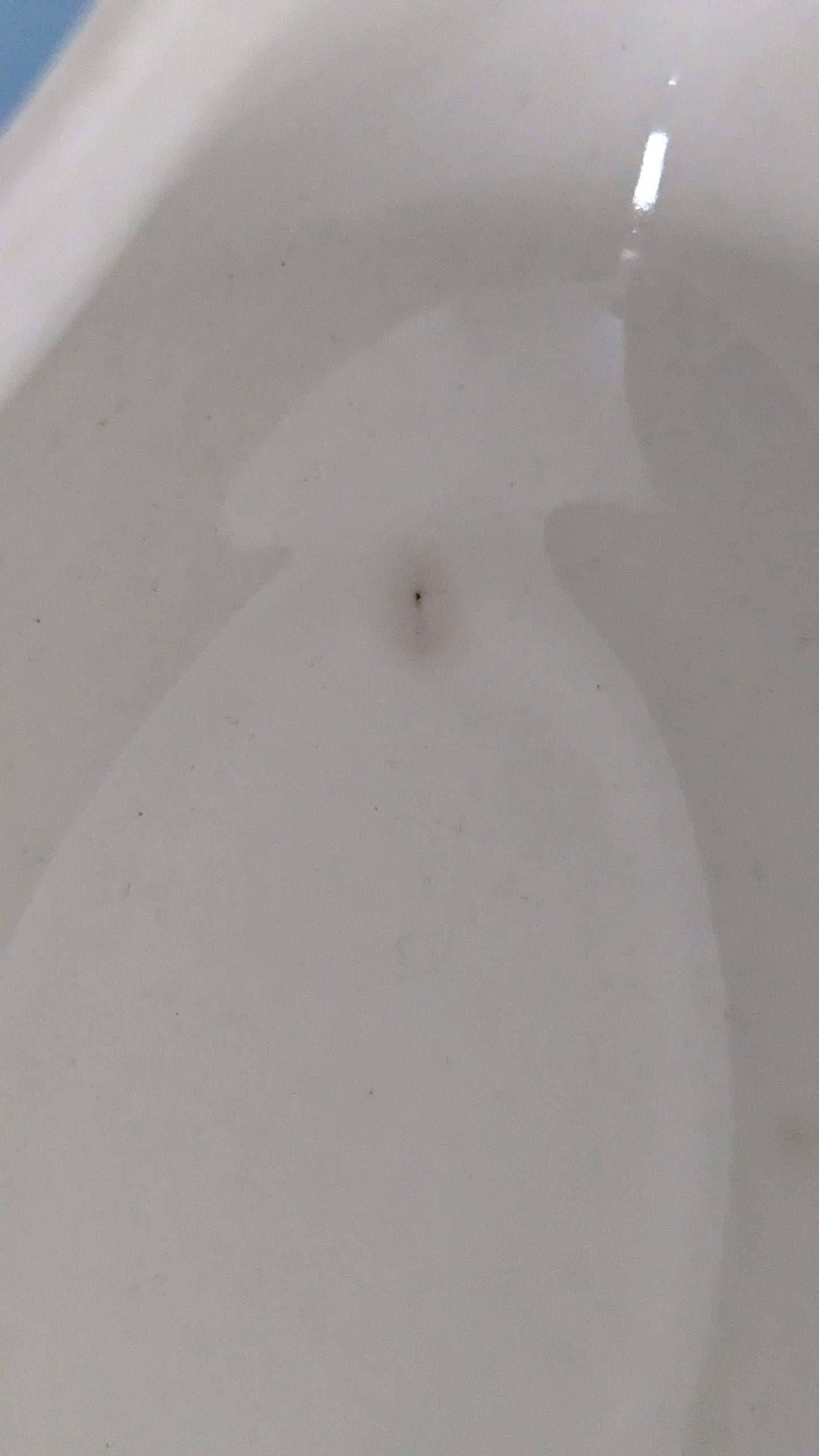 Arabia Martta Kermakko (1942-1954)