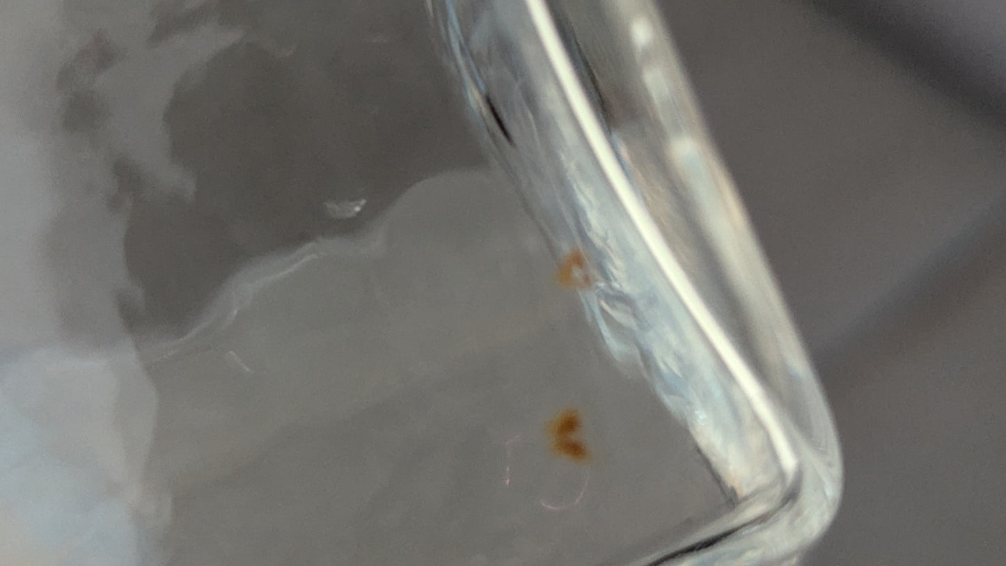 Nuutajärvi Tahiti Maljakko (1977-1979, Oiva Toikka)