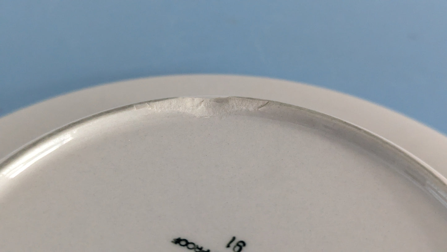 Arabia Salla Keittolautanen (5kpl, 1979-1983, Raija Uosikkinen)