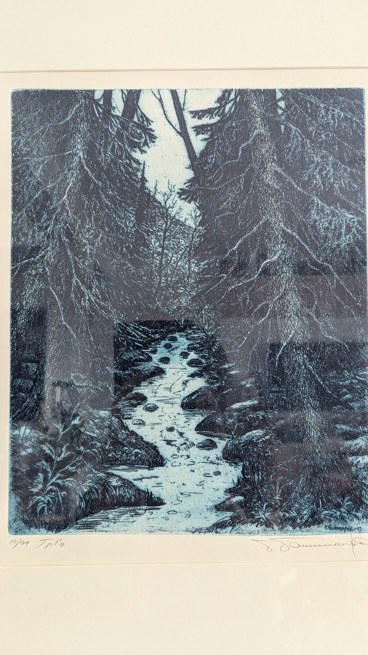 Tapani Tammenpää - Signeerattu Grafiikka (1989)