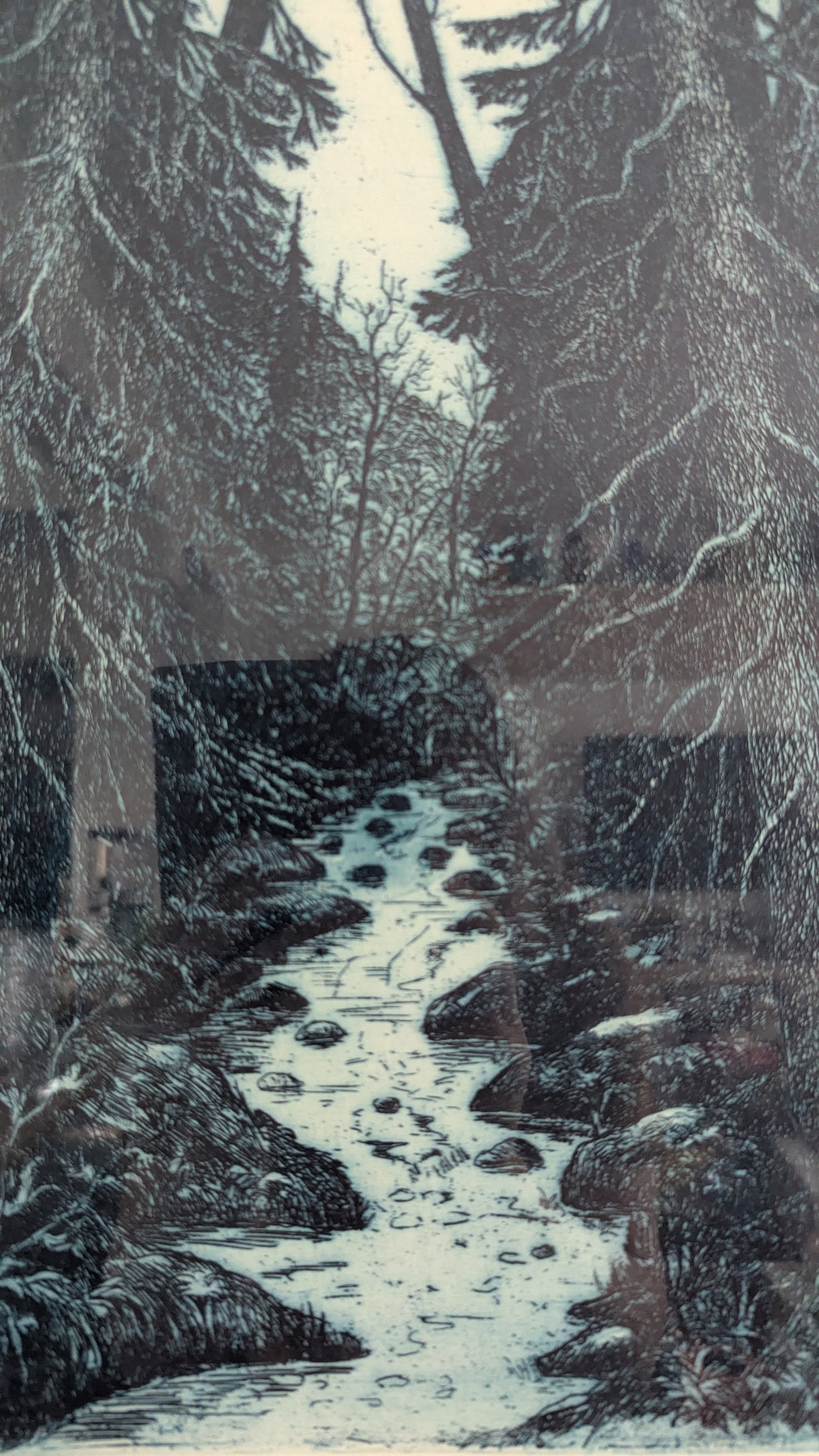 Tapani Tammenpää - Signeerattu Grafiikka (1989)