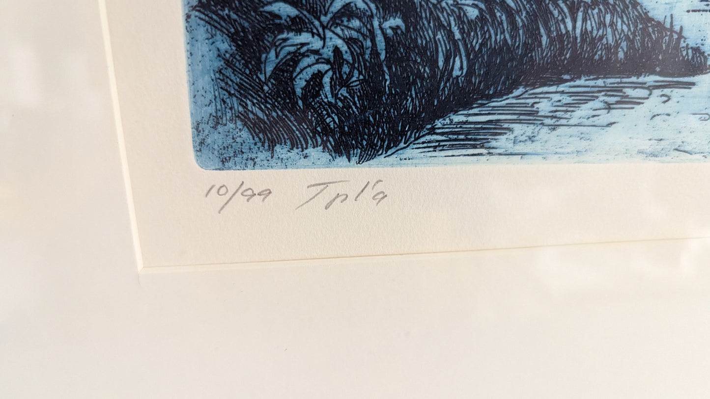 Tapani Tammenpää - Signeerattu Grafiikka (1989)