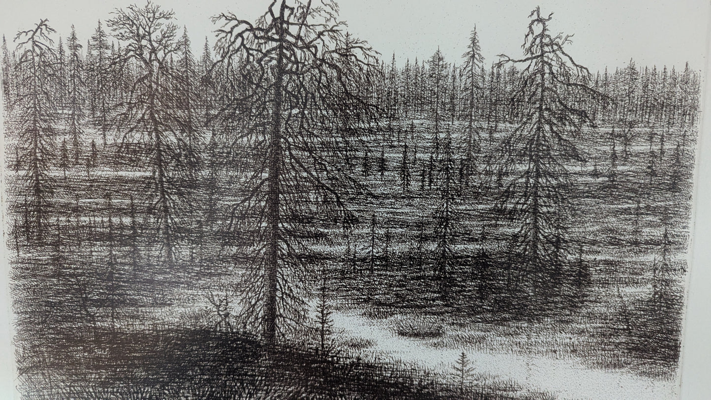 Simo Hannula - Suo (Signeerattu Etsaus, 1980)