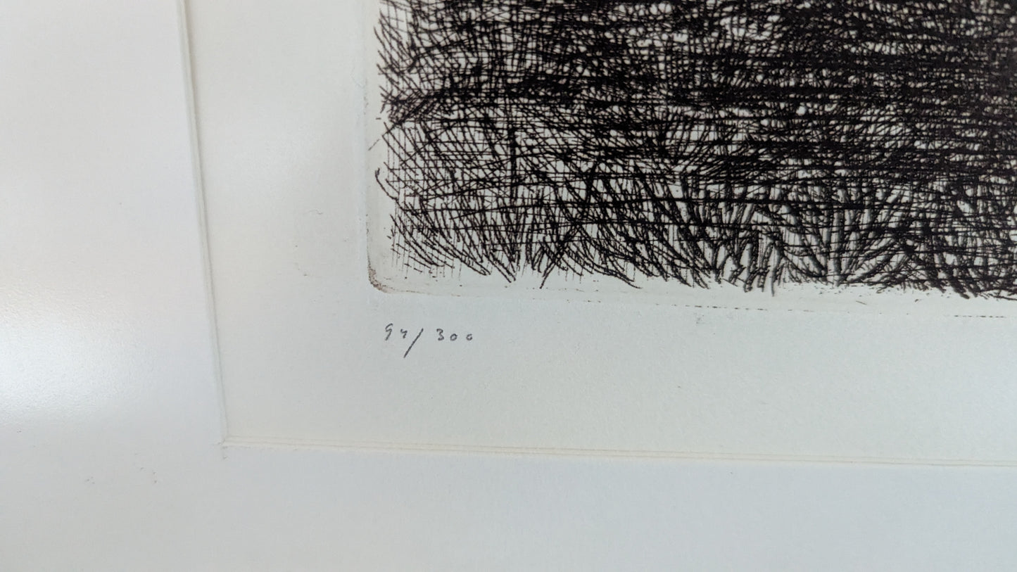 Simo Hannula - Suo (Signeerattu Etsaus, 1980)