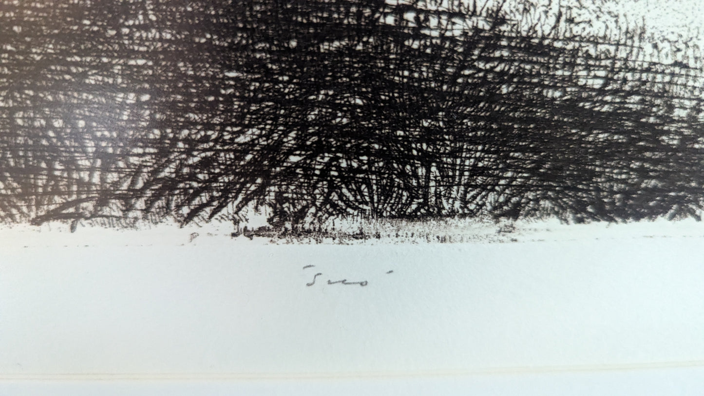 Simo Hannula - Suo (Signeerattu Etsaus, 1980)