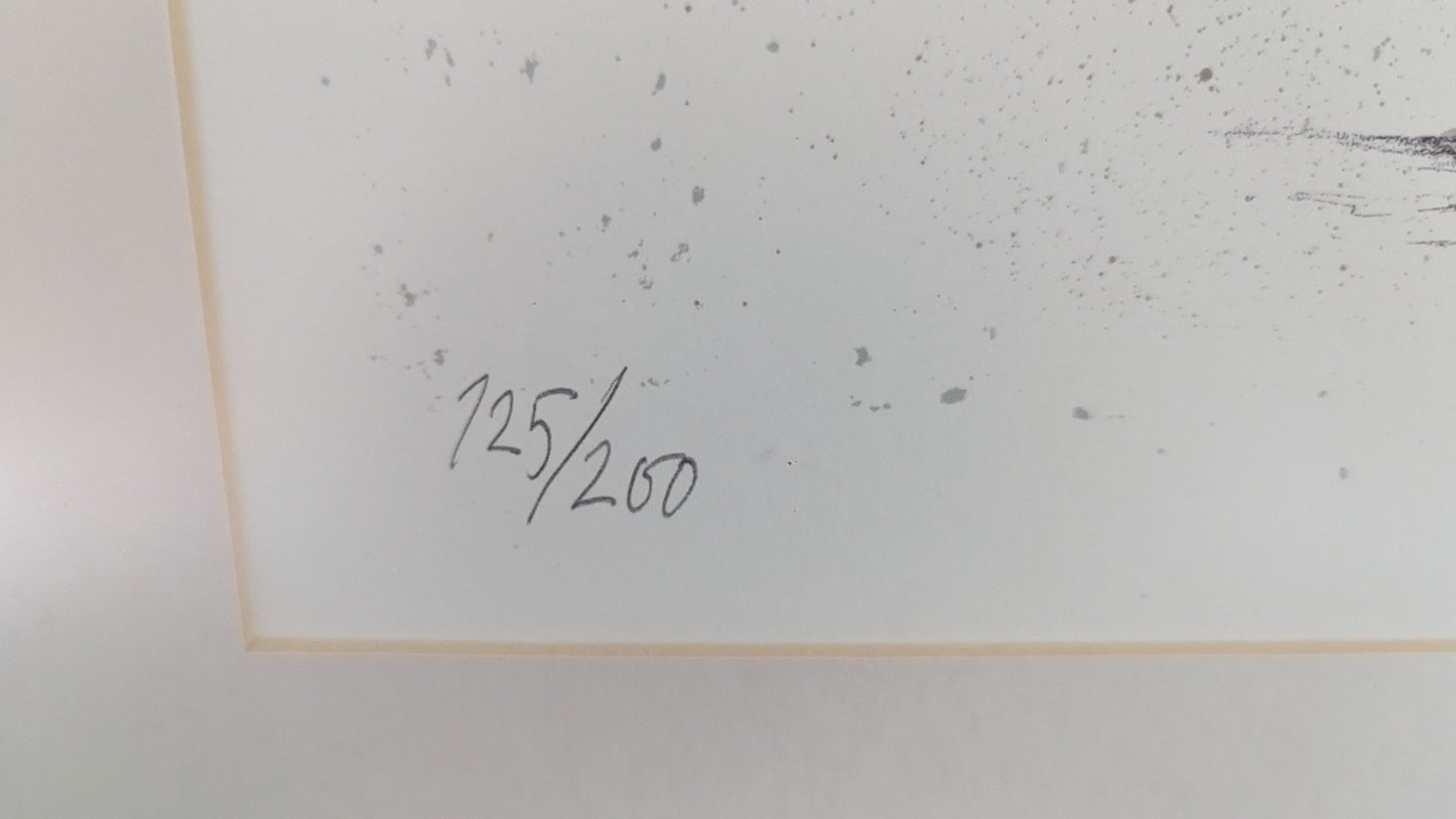 Seppo Polameri - Signeerattu Grafiikka (125/200, 1989)