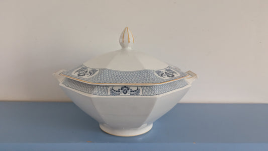 Johnson Bros - Albany Terriini / Kulho