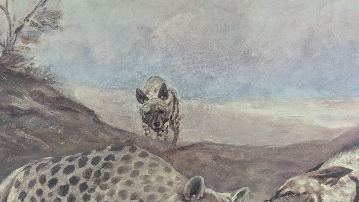 Opetustaulu - Täplikäs ja Juovikas Hyeena (1948)