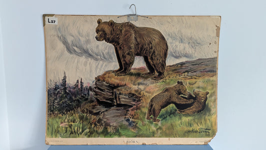 Opetustaulu - Karhu (Ruotsalaisten Eläinten Kuvia)