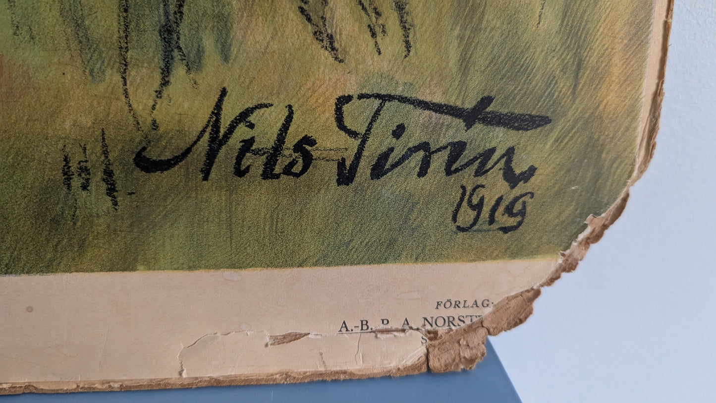 Opetustaulu - Karhu (Ruotsalaisten Eläinten Kuvia)