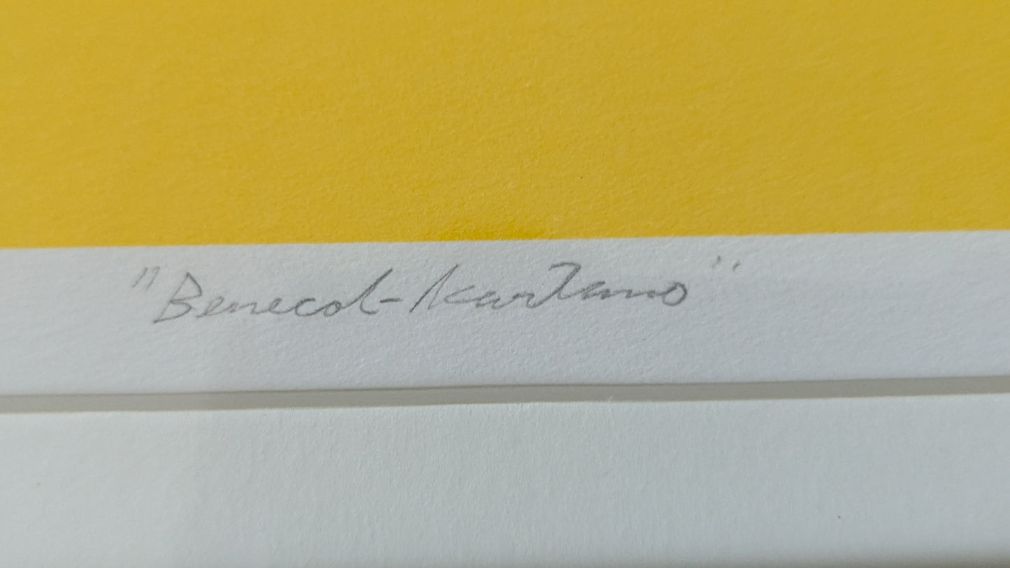 Raimo Huittinen - Benecol-Kartano (Signeerattu Grafiikka 1998)