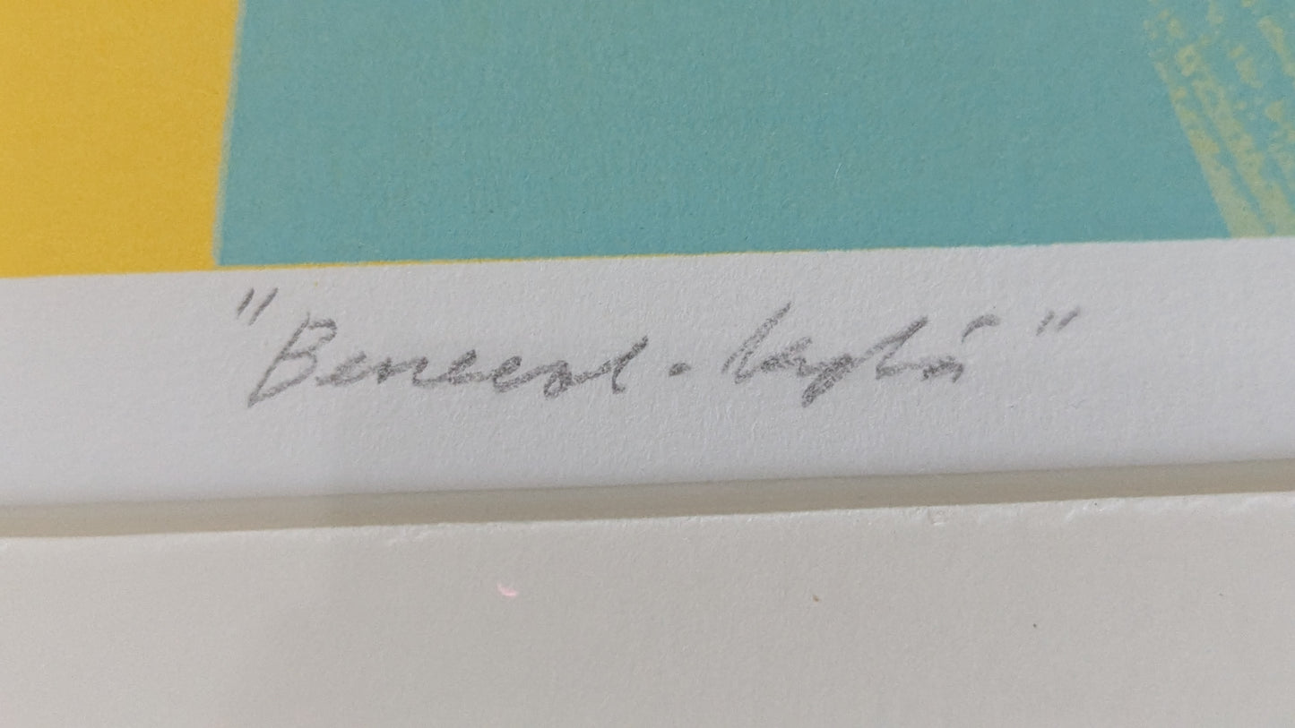 Raimo Huittinen - Benecol-Kylä (Signeerattu Grafiikka 1998)