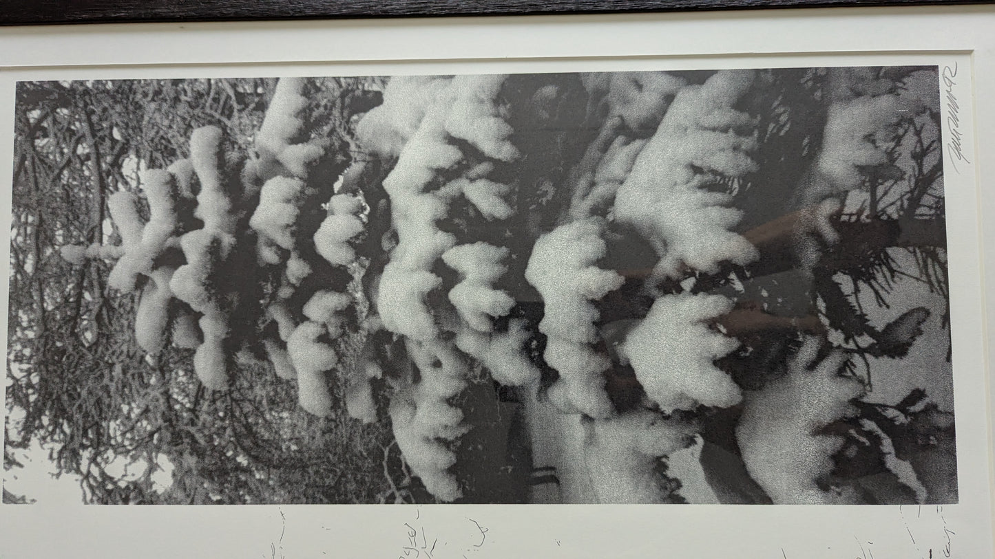 Raimo Kanerva - Signeerattu Grafiikka (40/40, 1992)