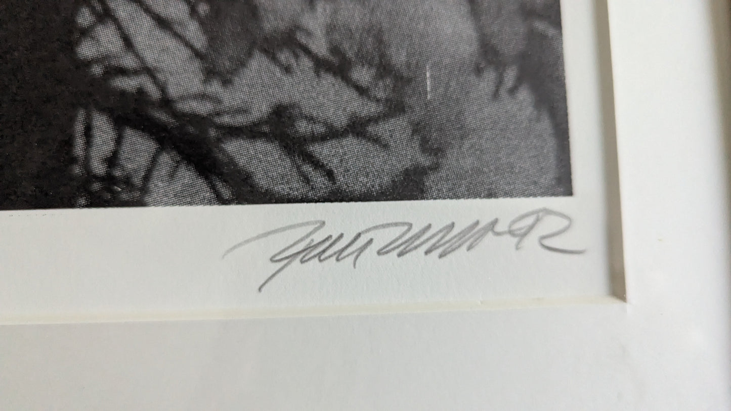 Raimo Kanerva - Signeerattu Grafiikka (40/40, 1992)