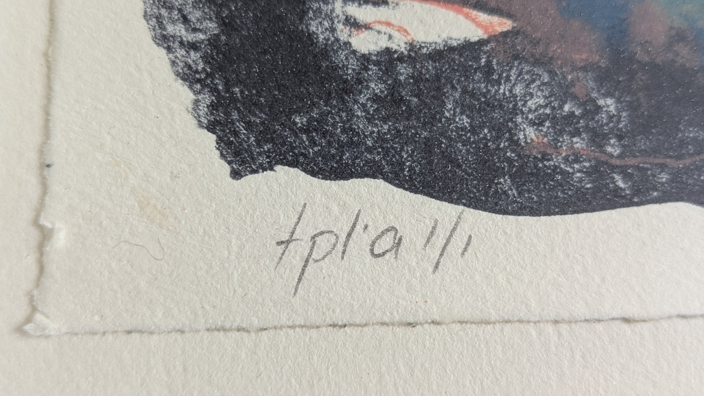 Marianne Kokkonen - Yölilja (Signeerattu Monotypia, 1/1 1998)