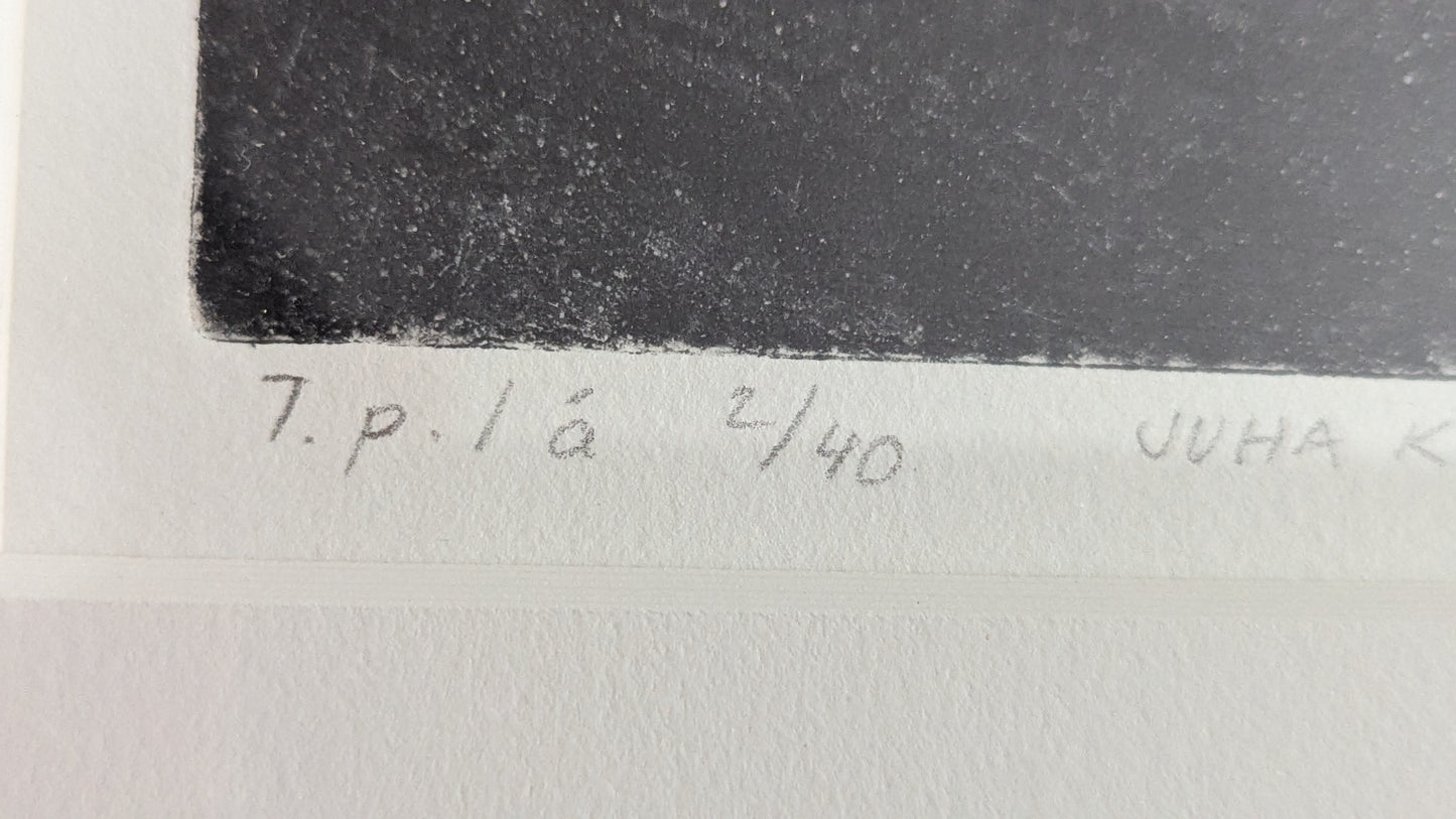 Juha Kuljukka - Signeerattu Grafiikka (1993, 2/40)