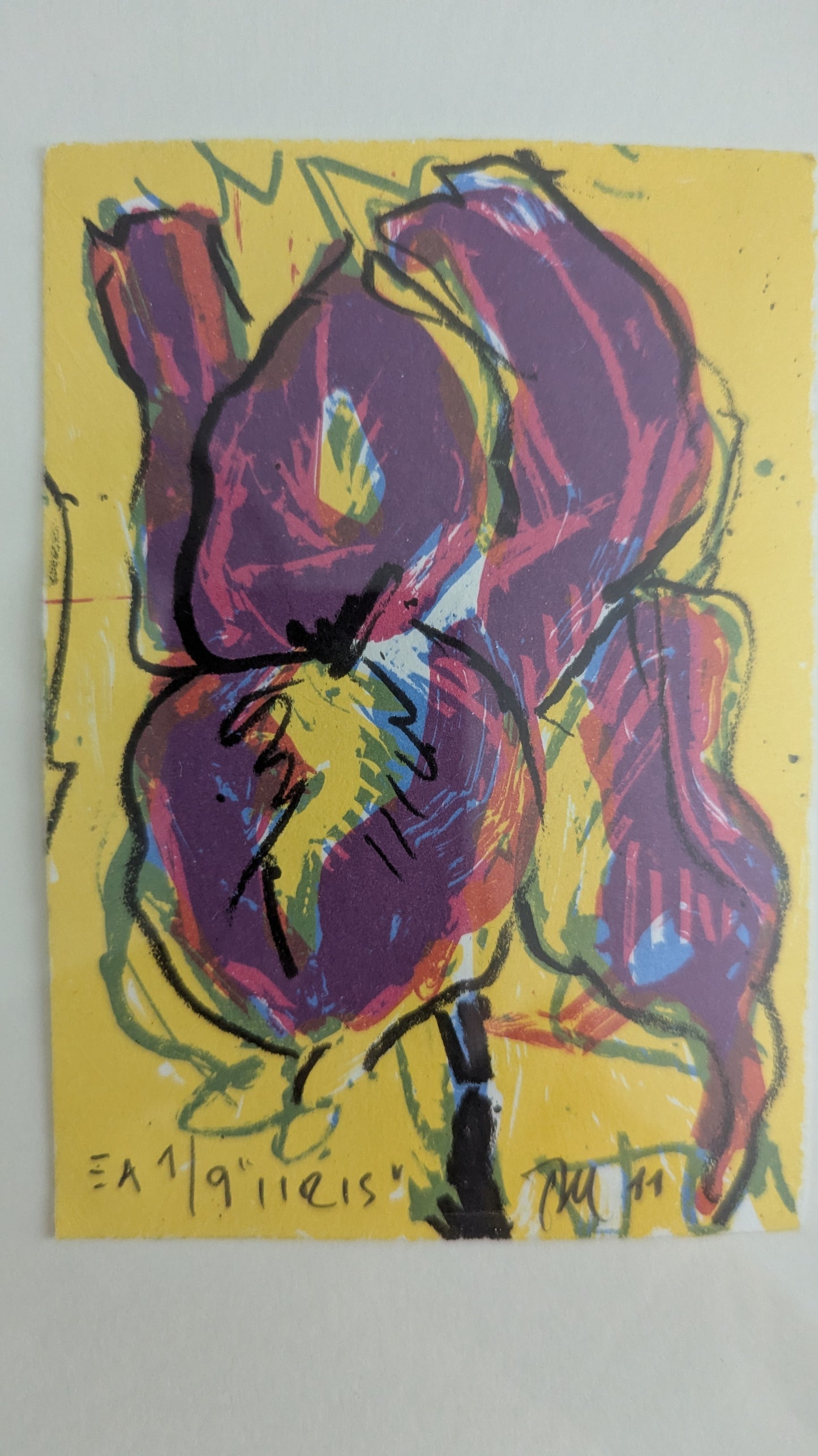 Tapani Mikkonen - Iiris (Signeerattu Litografia, 2011)