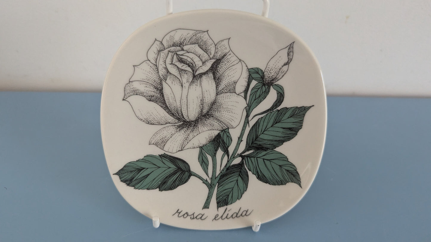 Arabia Rosa Elida Seinälautanen (Esteri Tomula)