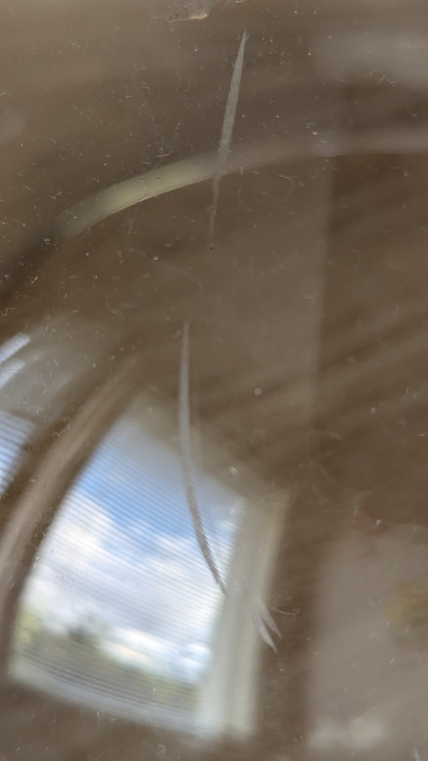 Nuutajärvi - Fiesta Salaattikulho / Malja (1980-luku, Alkuperäisessä Paketissa)