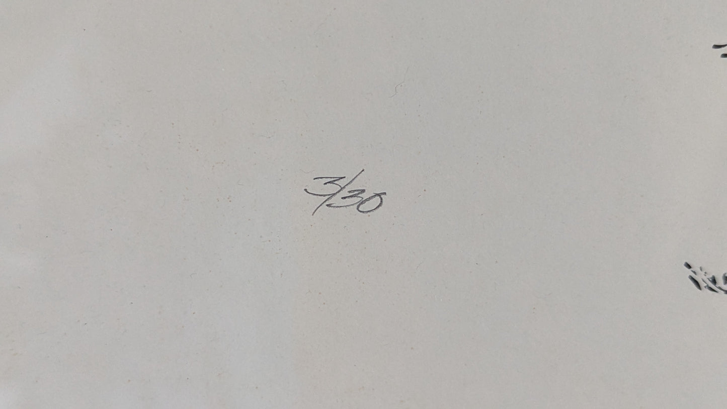 Signeerattu ja Numeroitu Grafiikka (1991, 3/30)