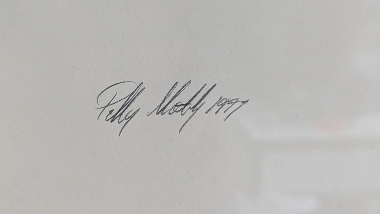 Signeerattu ja Numeroitu Grafiikka (1991, 3/30)