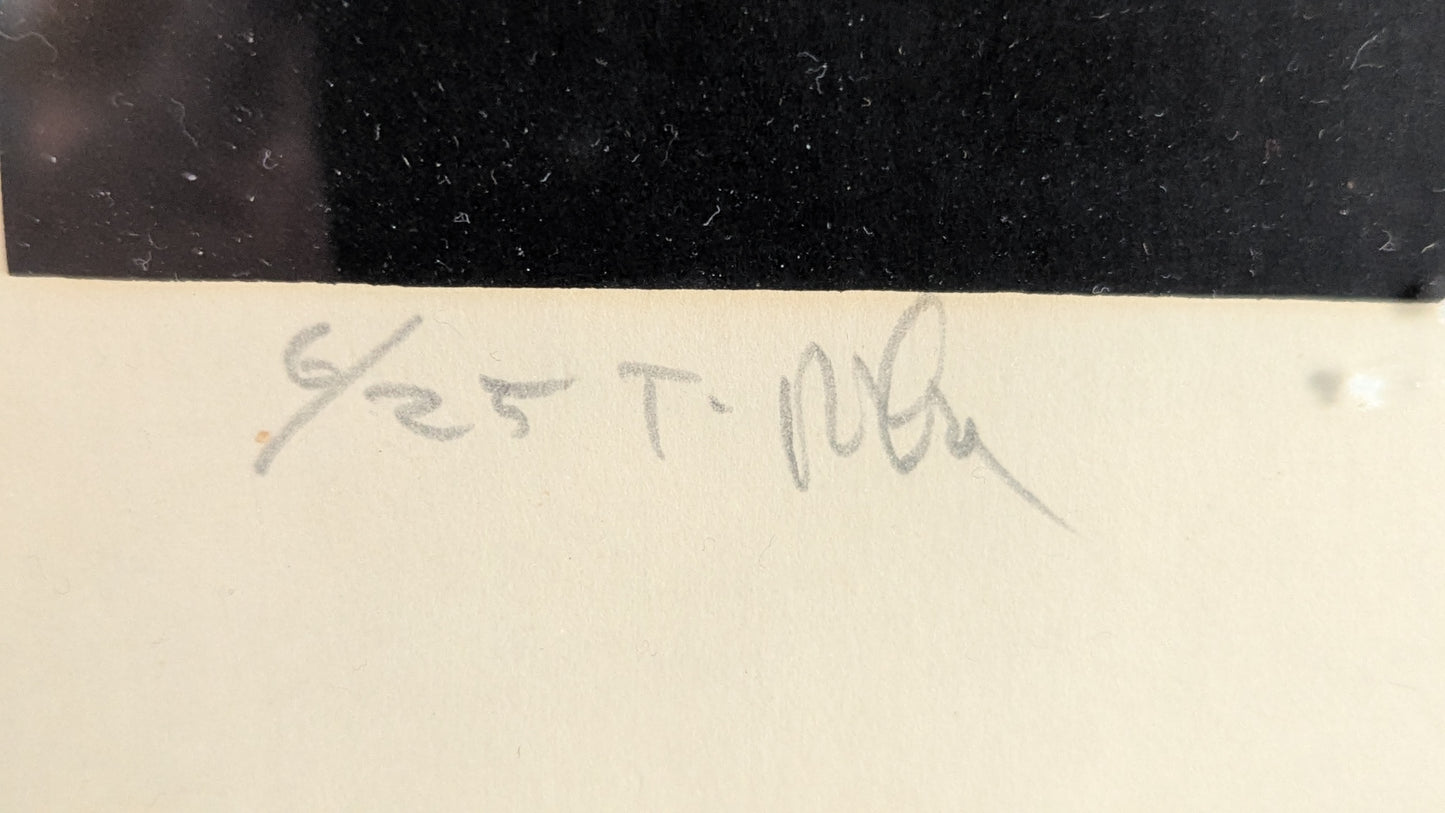 Raimo Kanerva - Signeerattu Grafiikka (1969, 6/25)