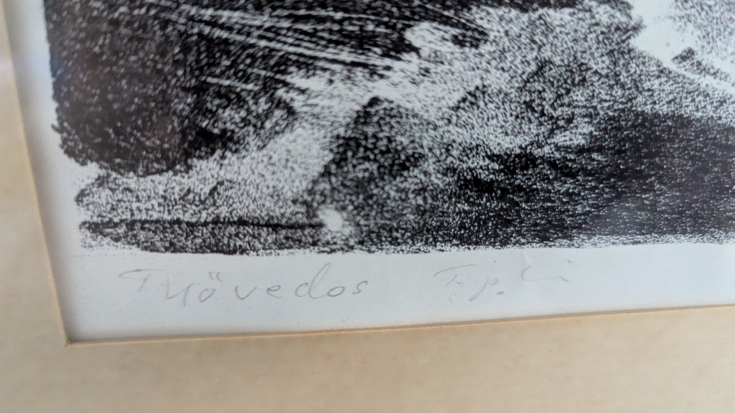 Tapio Haili - Signeerattu Grafiikka (1969, Työvedos)