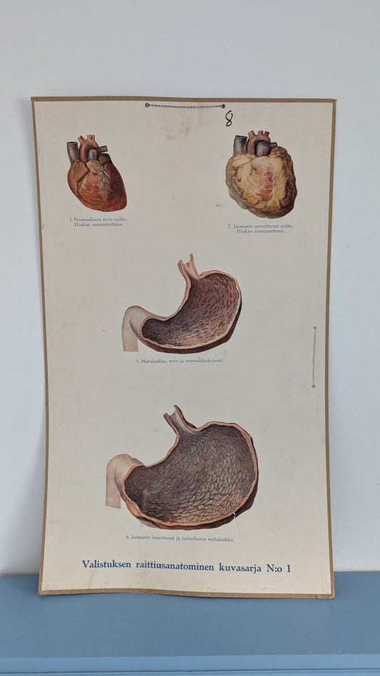 Opetustaulu - Valistuksen Raittiusanatominen Kuvasarja No 1