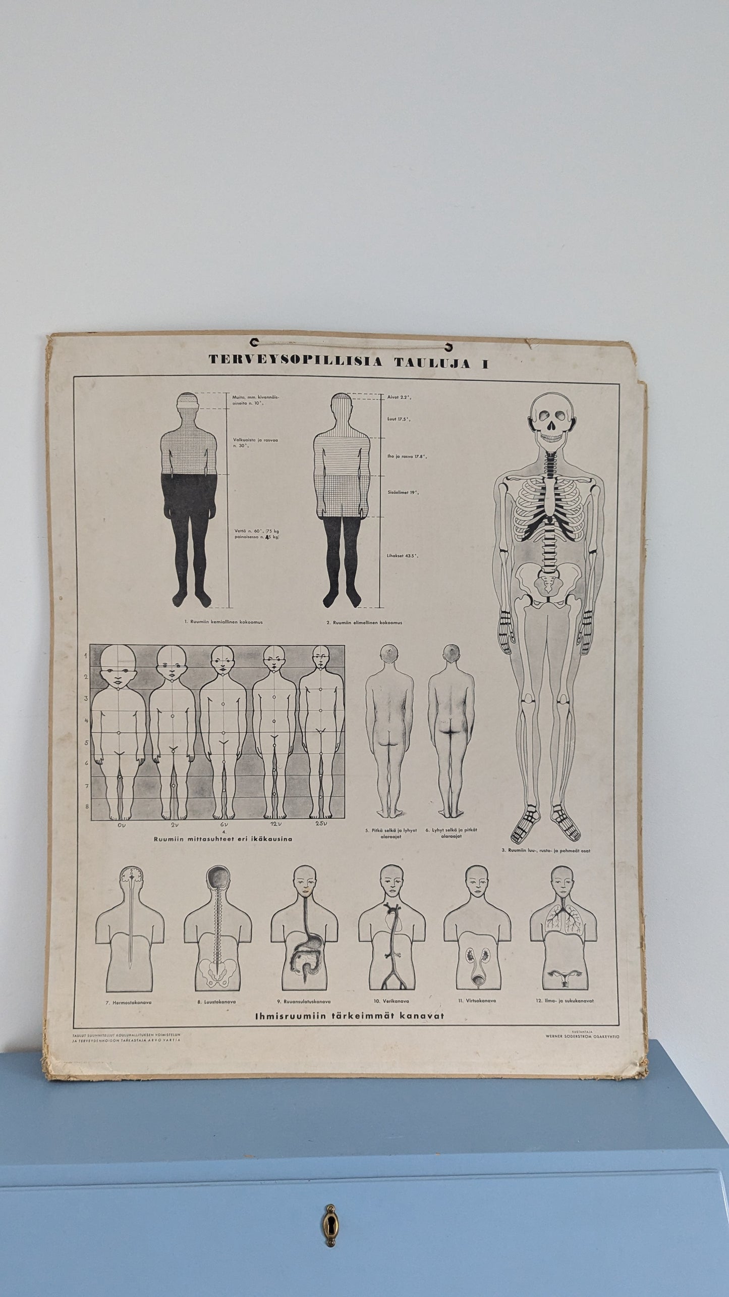 Opetustaulu - Terveysopillisia Tauluja I (Arvo Vartia)