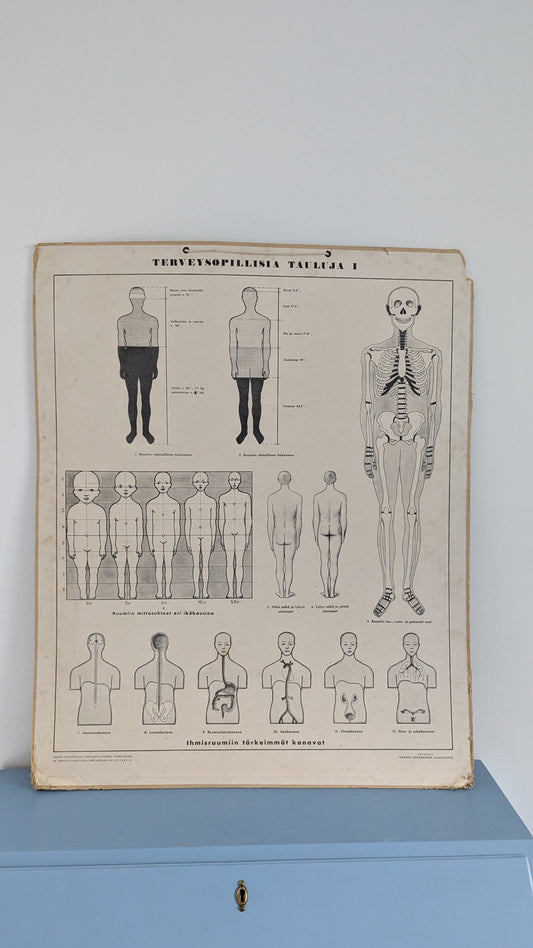 Opetustaulu - Terveysopillisia Tauluja I (Arvo Vartia)