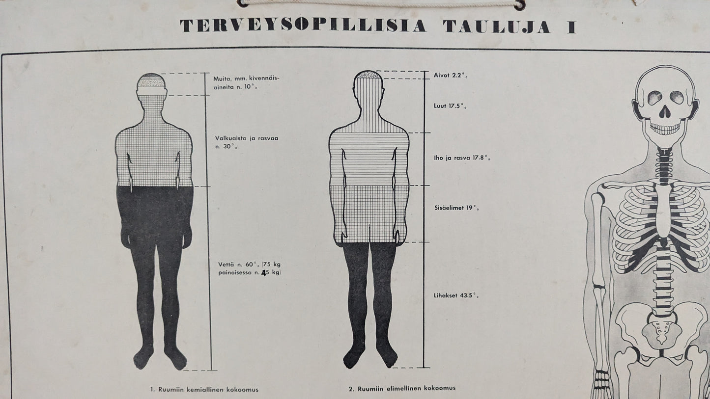 Opetustaulu - Terveysopillisia Tauluja I (Arvo Vartia)