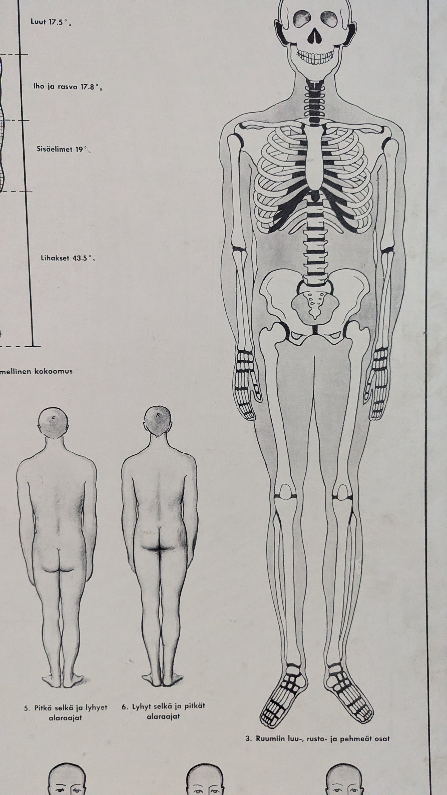 Opetustaulu - Terveysopillisia Tauluja I (Arvo Vartia)