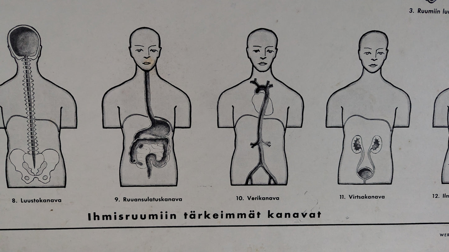 Opetustaulu - Terveysopillisia Tauluja I (Arvo Vartia)