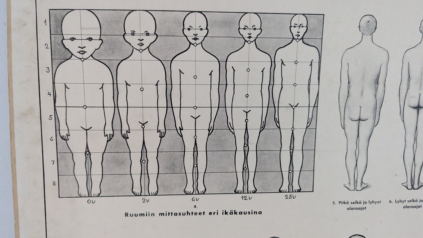 Opetustaulu - Terveysopillisia Tauluja I (Arvo Vartia)