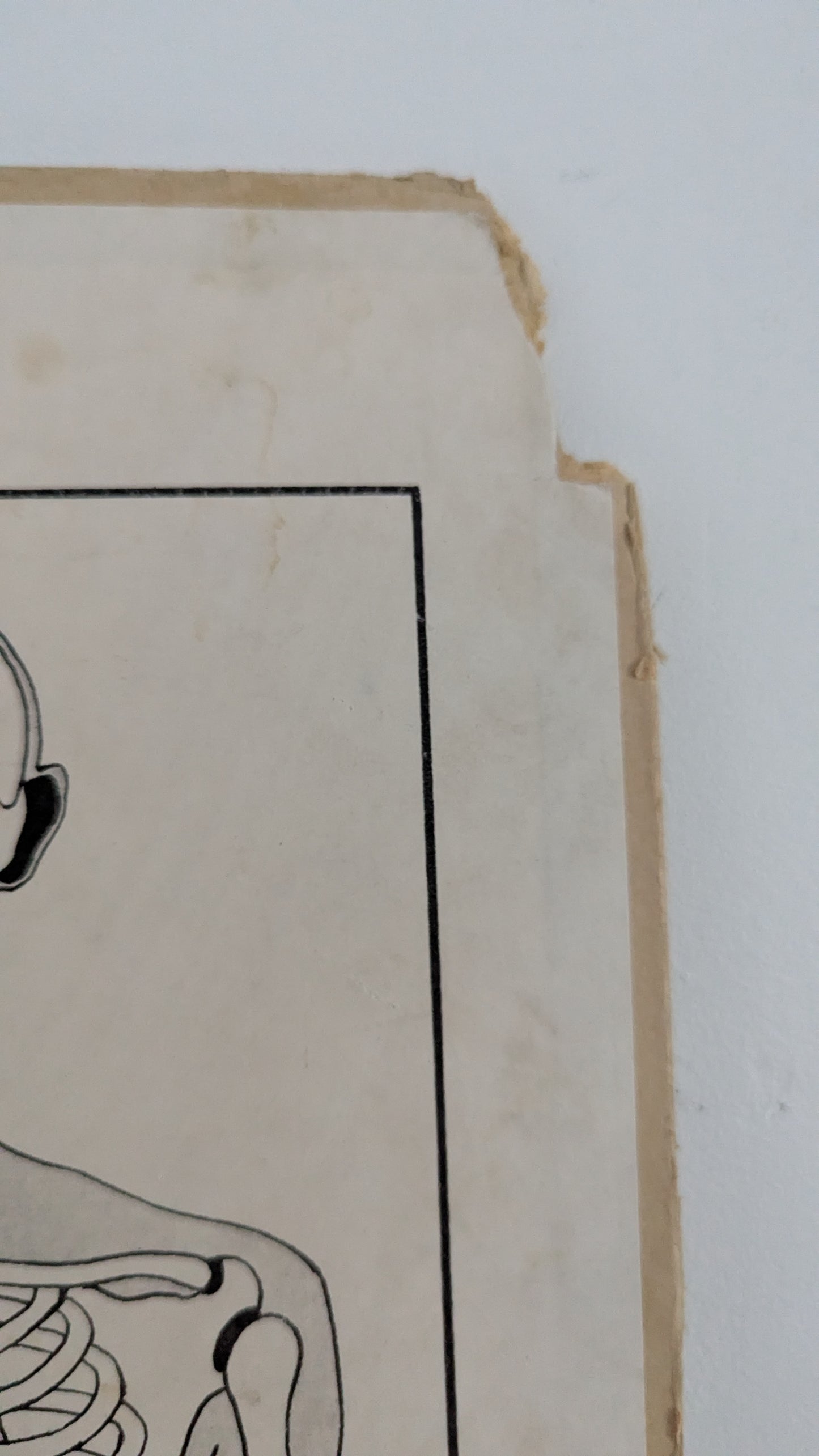 Opetustaulu - Terveysopillisia Tauluja I (Arvo Vartia)